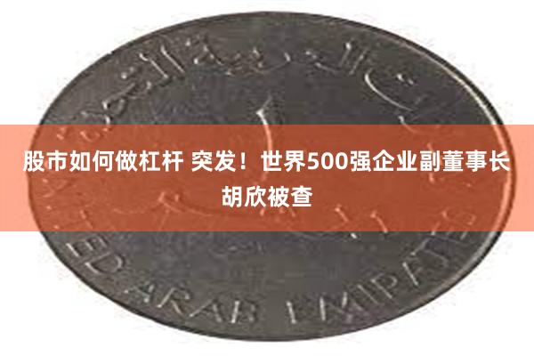 股市如何做杠杆 突发！世界500强企业副董事长胡欣被查