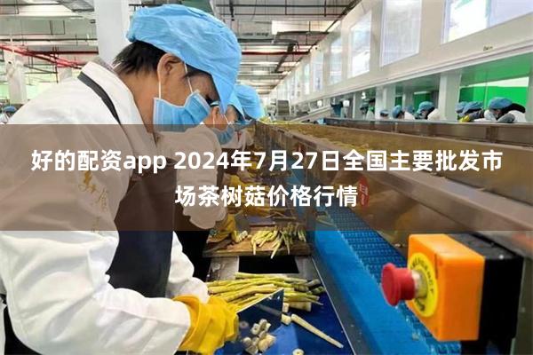 好的配资app 2024年7月27日全国主要批发市场茶树菇价格行情