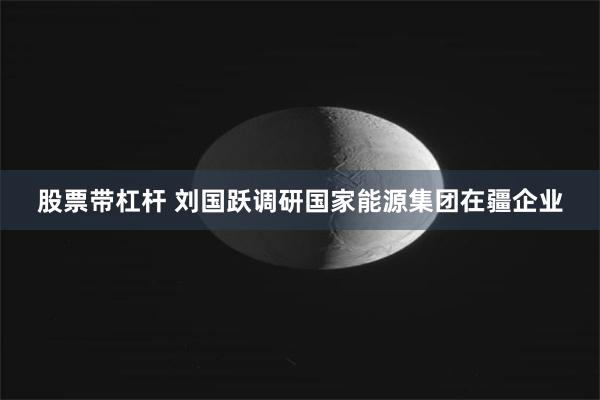 股票带杠杆 刘国跃调研国家能源集团在疆企业