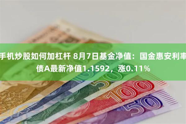 手机炒股如何加杠杆 8月7日基金净值：国金惠安利率债A最新净值1.1592，涨0.11%