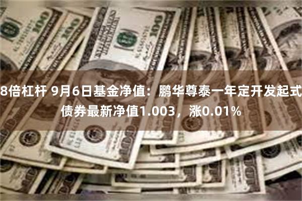 8倍杠杆 9月6日基金净值：鹏华尊泰一年定开发起式债券最新净值1.003，涨0.01%