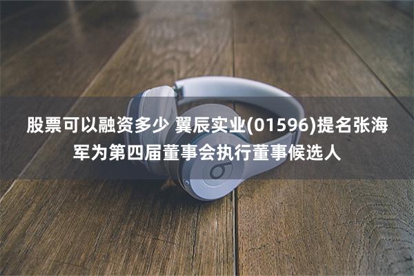 股票可以融资多少 翼辰实业(01596)提名张海军为第四届董事会执行董事候选人