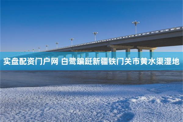 实盘配资门户网 白鹭蹁跹新疆铁门关市黄水渠湿地