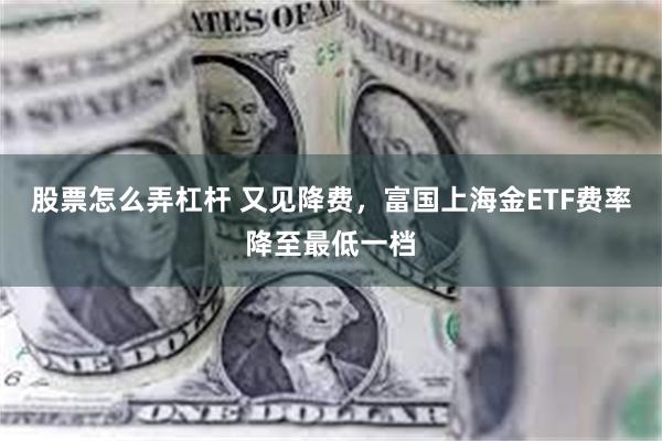 股票怎么弄杠杆 又见降费，富国上海金ETF费率降至最低一档