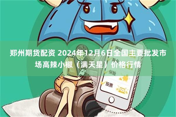 郑州期货配资 2024年12月6日全国主要批发市场高辣小椒（满天星）价格行情