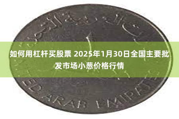 如何用杠杆买股票 2025年1月30日全国主要批发市场小葱价格行情